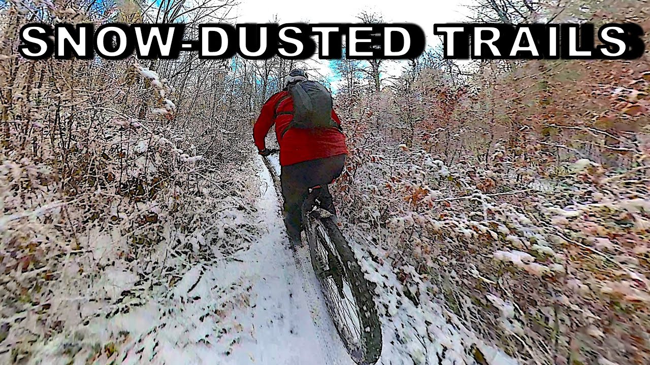 New Year Ride Under a White Coat | Soignes Forest ❄️