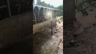 Everyone, please help me! The water is about to flood my chicken coop! 😭😭😭😥😥😥