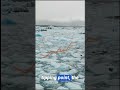 Monica Piccinni - Amazon's viral role in regulating Global climate | MEER podcast