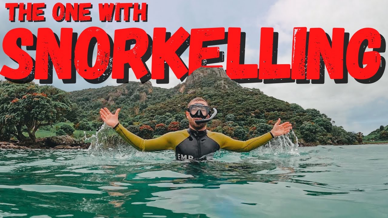 SNORKELLING Whangarei Heads l Reotahi Bay l Experiencing Marine