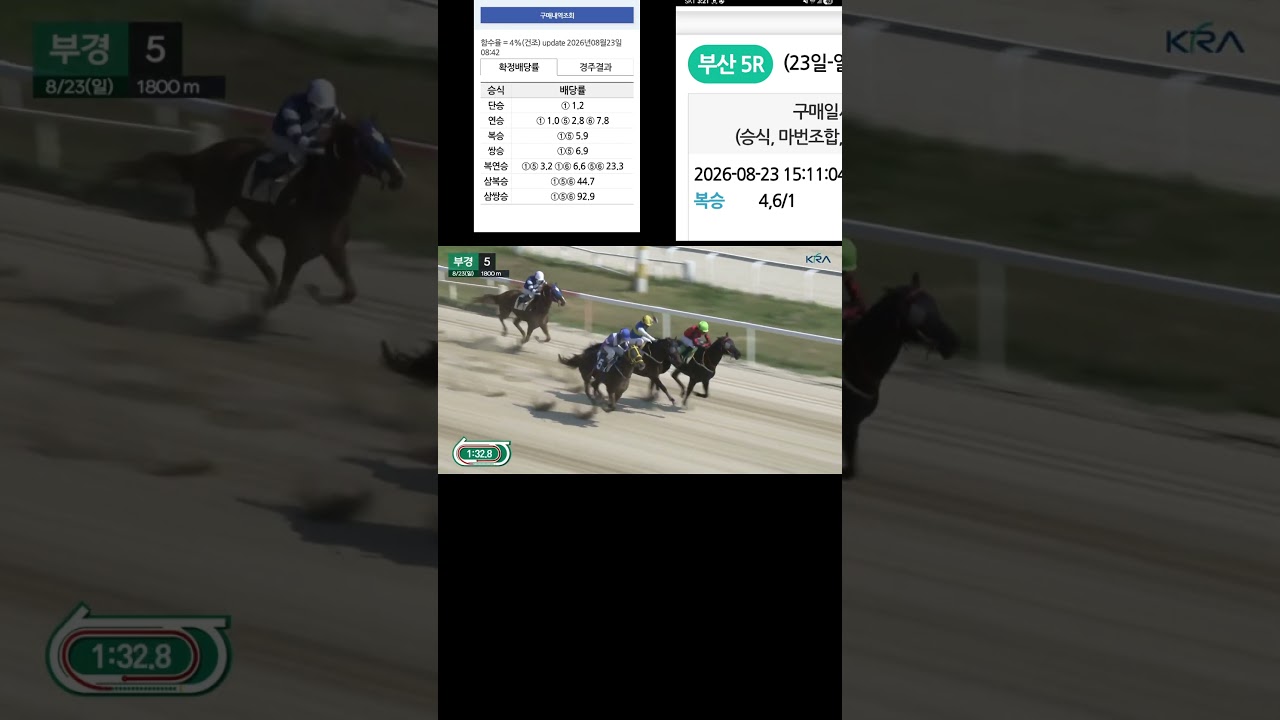 5번이 안죽네
