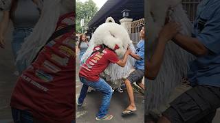 Bapa Bapa Digigit Can Macanan Karna Godain Cewek