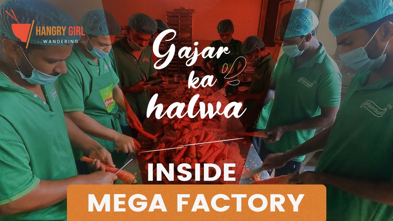 Gajar Ka Halwa | Inside of Dhamthal Mega Kitchen | Carrot Halwa Recipe