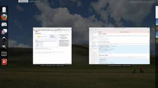 shell-20110304-1.webm