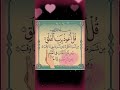 Surah Al-Falak | Quran Recitation ❤️❤️ #quran #islamicvoice #quranrecitation #tilawatalmushaf