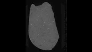 Sutter's Mill Meteorite SM 32 X-ray CT for the whole rock (2.7x2.7 cm2 field of view)