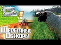 РАЗВОДИМ ОВЕЦ - #13 - FARMING SIMULATOR 19