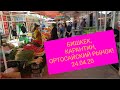 БИШКЕК,ОРТОСАЙСКИЙ РЫНОК,УЛ. ДОНЕЦКАЯ,ЖУКЕЕВА-ПУДОВКИНА,БЕЗЫМЯННАЯ!ОРТОСАЙСКИЙ БАЗАР,АПРЕЛЬ 2020!