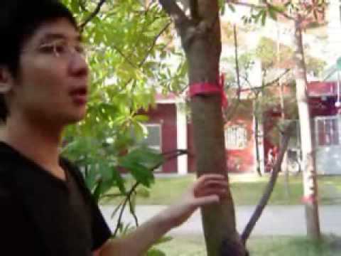 [2005] wsn-based shooting system (使用無線感測網路設計射擊模擬系統)