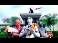 Team spiderman vs alien superhero  mansion battle  parkour  swimming  fighting bad guy 