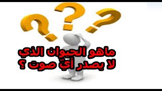 ماهو الحيوان الذي لايصدر أي صوت ؟