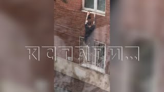 Пункт наркоторговли в квартире многоэтажки - наркоманы лезут по стенам, жители жалуются в полицию