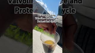 Running Restore And Protect In My 185K Mile Engine