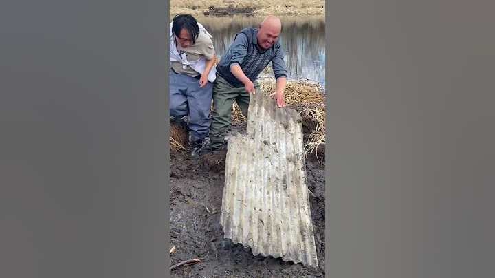 冰凍三尺非壹日之寒 ，這就是冬天該有的樣子#捕魚#Fishing#戶外#搞笑#shorts