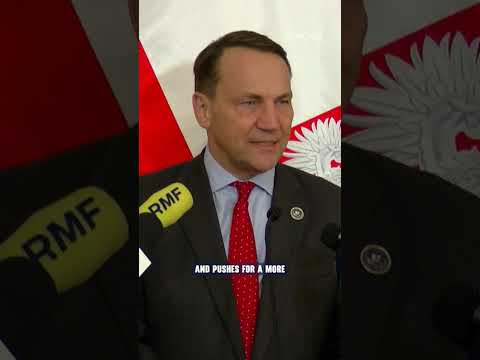 #Poland endorses #US plan to secure global #mineral supplies