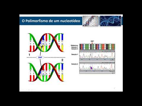 Vídeo: Os Marcadores SNP Candidatos De Potencial Reprodutivo São Previstos Por Uma Mudança Significativa Na Afinidade Da Proteína De Ligação A TATA Pelos Promotores De Genes Humanos