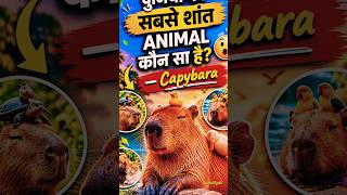 दुनिया का सबसे शांत Animal 😯 | Capybara Facts