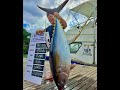 Pêche au gros à l'Île Maurice thon jaune 130 lbs avec LE TRIO FISHING