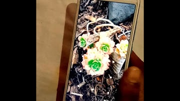 Redmi 6a Hard Reset | Pattern Unlock | Password Remove