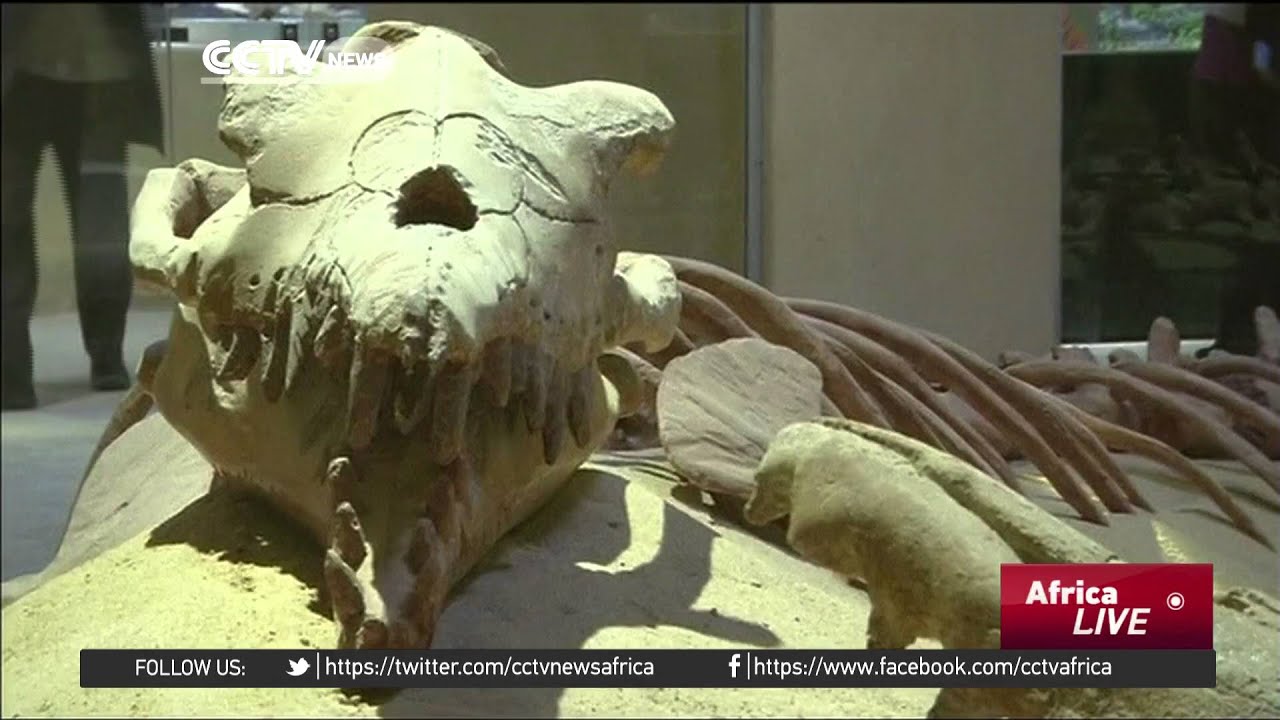 Egypt’s museum shines spotlight on climate change