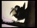 قصة الثعلب و الغراب