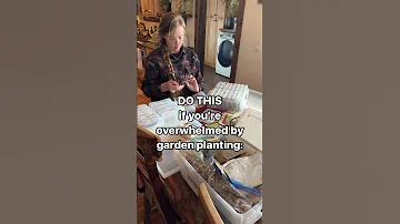 DO THIS if you feel overwhelmed by planting....