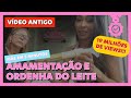 Resumo sobre amamentação e ordenha de leite