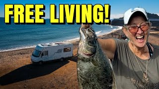 Free Beach Camping In Baja We Caught Our Own Dinner