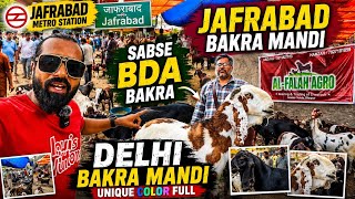 Jafrabad bakra mandi.  Bakra. Hi bakra. 2026 Jafrabad me bakra khub bik rha h 