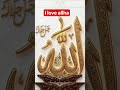কি ধাক্কা মারতে মন চায় মারেন ধাক্কা কারণ এটা তো আল্লাহর নাম 🕋🕋 #islam #islamic #shortvideo