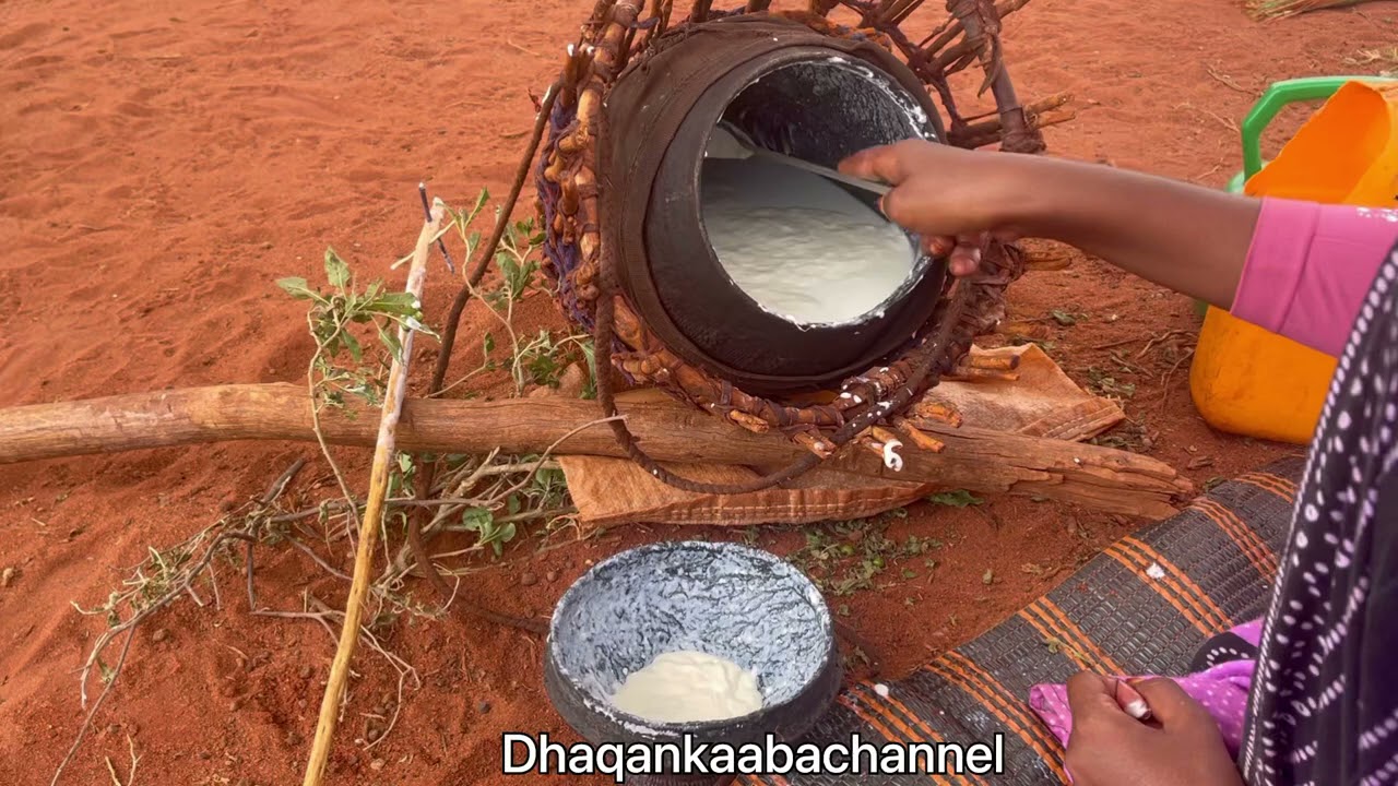 Shaqada baadiyaha iyo subag shiilid