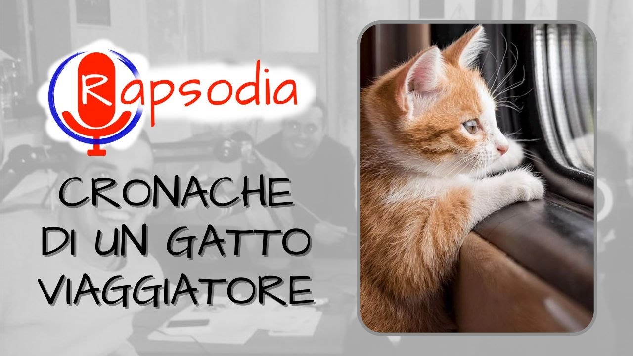 Cronache di un gatto viaggiatore