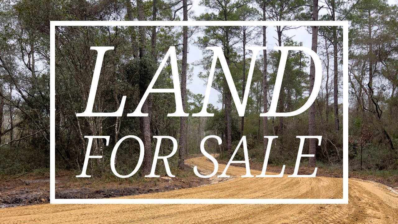 Land for Sale in Effingham County, YouTube