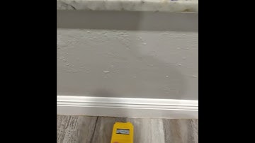 How to Use a Moisture Meter to Find Leaks