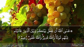 سورة الممتحنة كاملة مكتوبة ومسموعة بصوت القارئ احمد الحراسيس