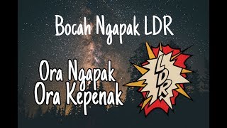 BOCAH NGAPAK LDR