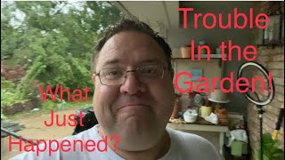 June Garden Tour, Big Storm and a Grateful Heart!! by Horticulture Geek 1,034 views 10 months ago 38 minutes