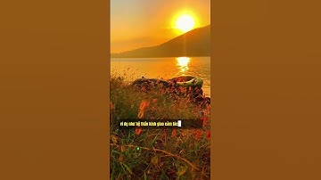 Hệ thần kinh thực vật là gì ? Rối loạn thần kinh thực vật  #roiloanthankinhthucvat