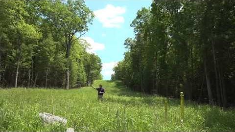 Gas pipeline right of way