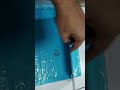 Video Image