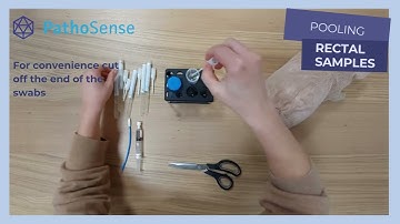 ENGLISH/EN - Pooled fecal sample processing