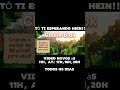 AVISO IMPORTANTE: Novos horários no Chunk-Blok! #horários #minecraft #shorts