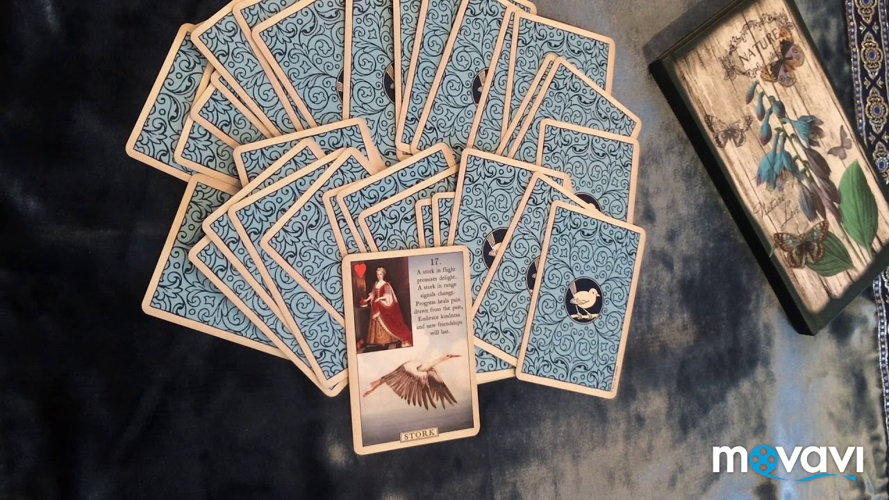 Blue bird Lenormand/голубая птица Ленорман. Таро, оракул. Перевод. Аист