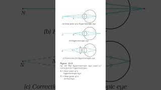 class 10th physics important diagram #physics