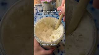 为什么面团还能当成宠物养？#解压 #科普 #酵母 #年轻人的活法