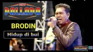 #IQ 7 #ompalapa #omadella #koplovirall Hidup di bui