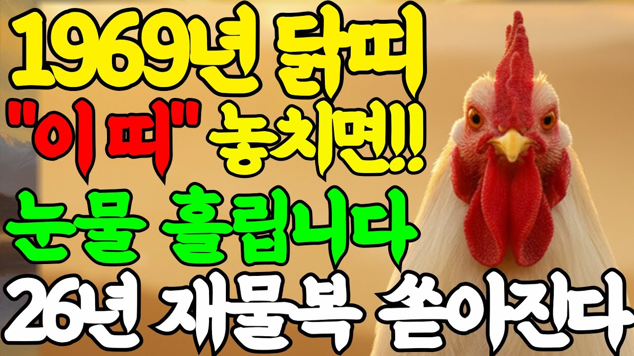 1969년 닭띠 눈물흘린다 '이 띠'와 만나면 돈복이 터지고 2026년 돈줄이 열립니다| 1959년생 닭띠운세 | 닭띠궁합 | 2026년 신년운세|개운법