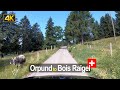 Driving from Orpund to Bois Raigel - Scenic Drive Switzerland!
