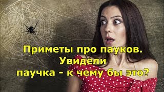 Приметы про пауков. Увидели паучка - к чему бы это? Приметы про пауков. Увидели паучка - к чему бы это?