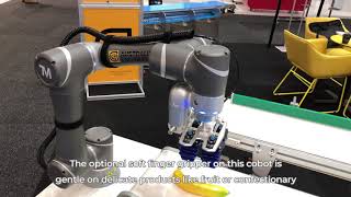 TM5 cobot picking bananas